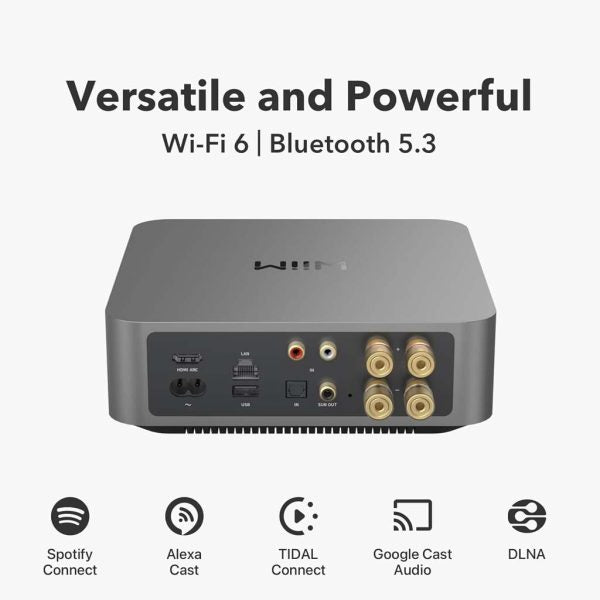 WiiM Amp Pro | Versatile Streaming Amplifier