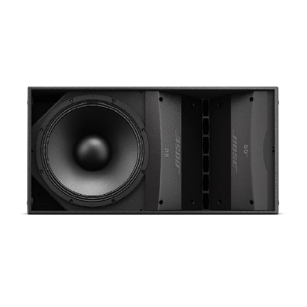 مكبر صوت خارجي BOSE Arenamatch AM10/100