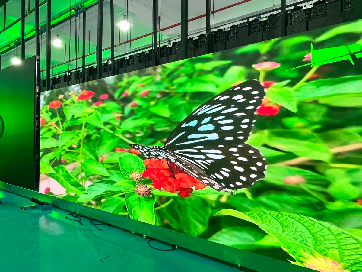 LED Screen