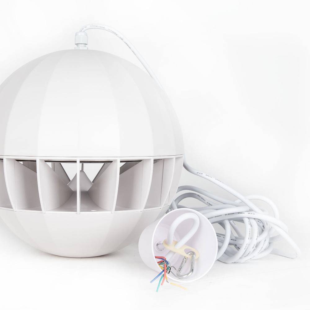 RCF BS 8 Pendant Speaker 20W