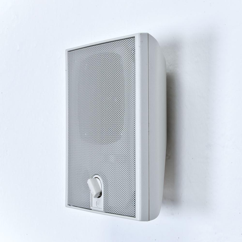 RCF Flush Mount Wall Speaker DU 31AT