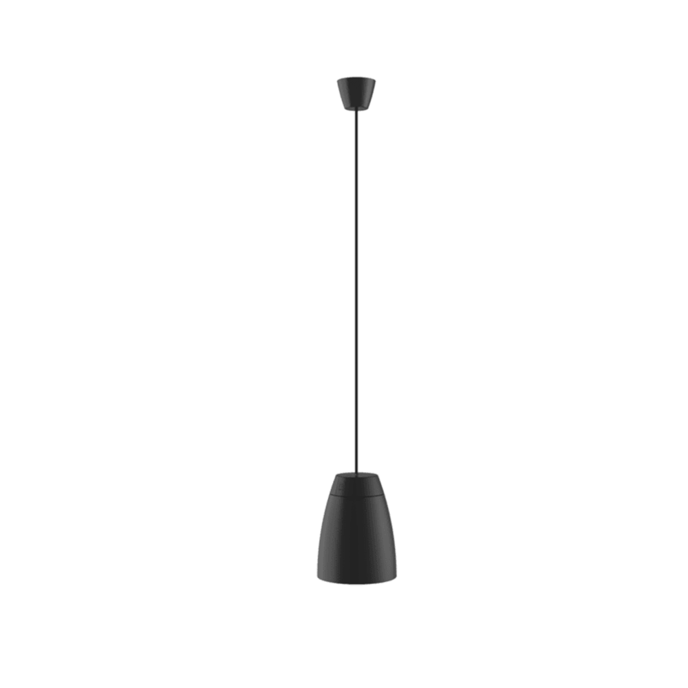 Prosound X-20 Pendant Speaker