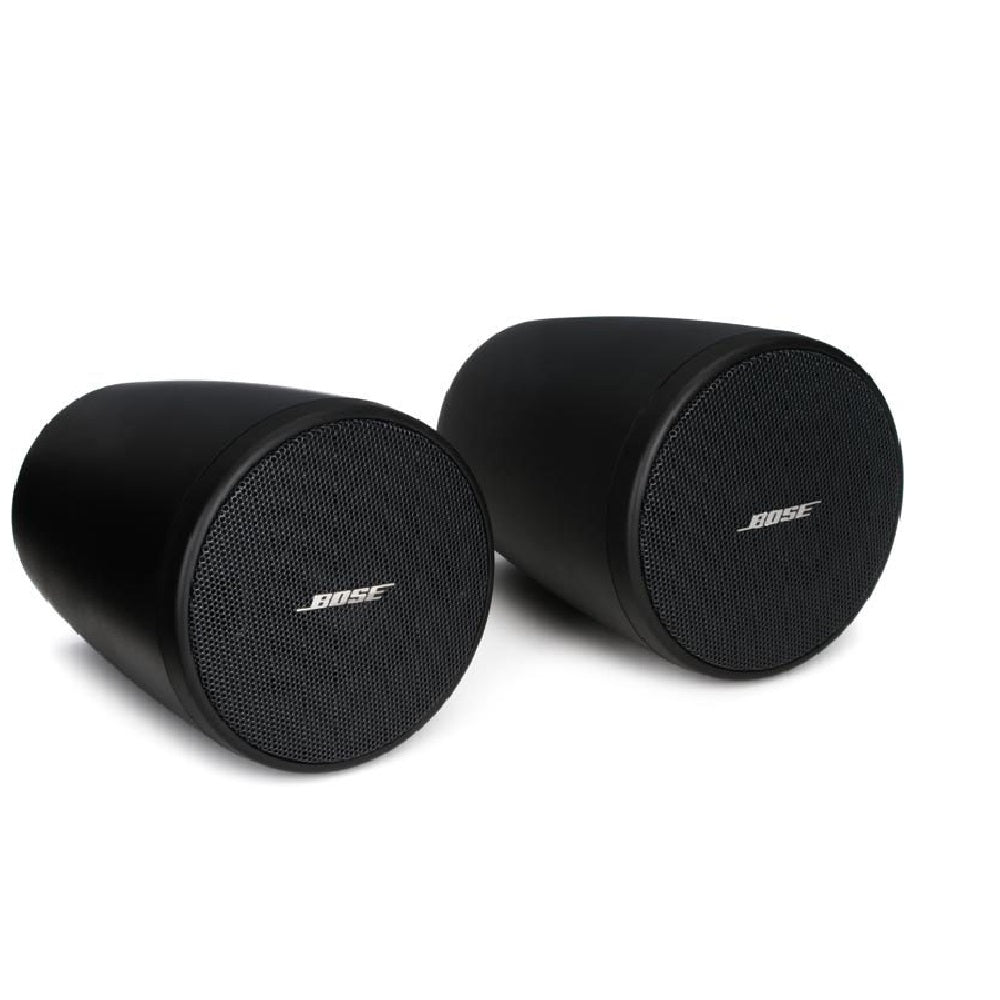 Bose FreeSpace FS2P Hanging Pendant-Mount Loudspeaker