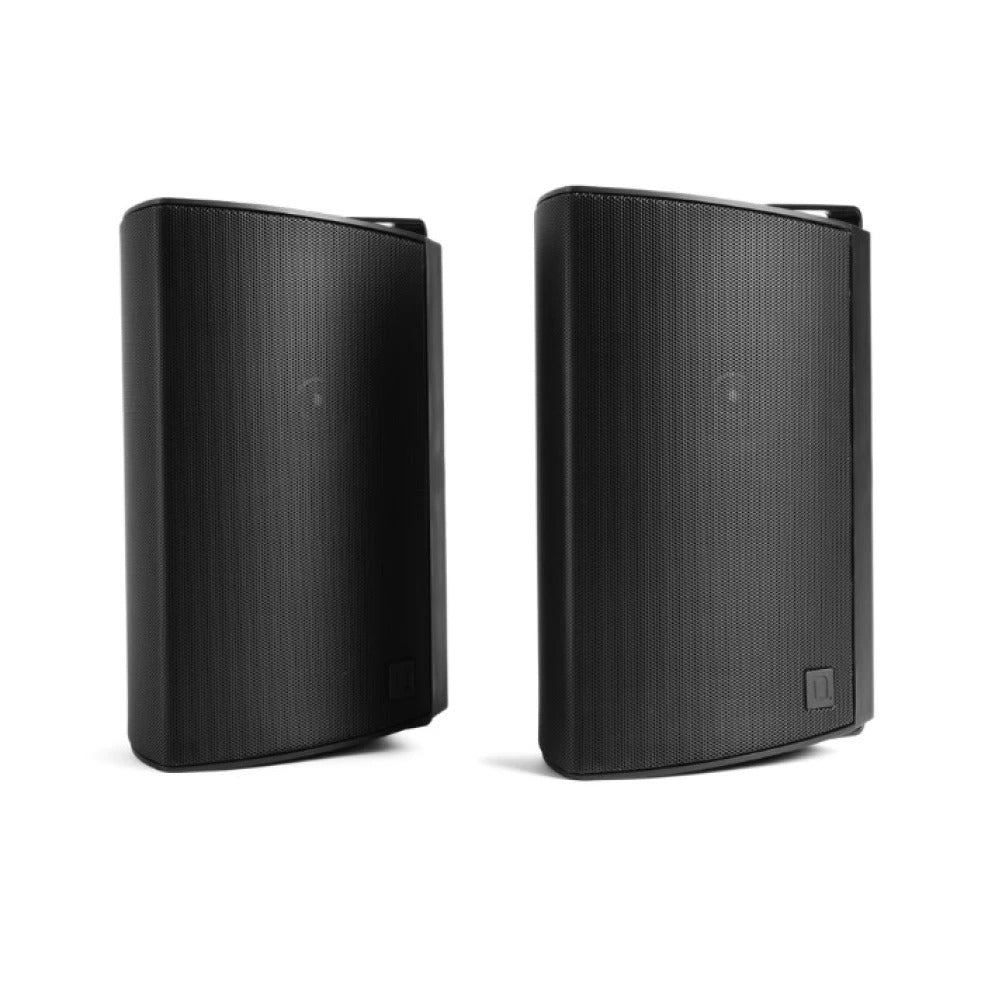 Definitive Technology AW-450 Outdoor All-Weather Speaker
