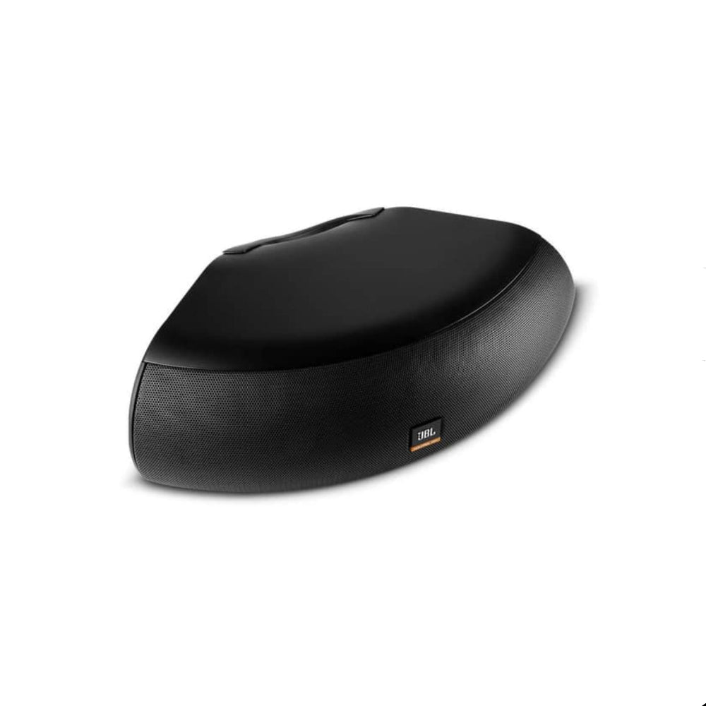 JBL Professional Control CRV High Design Indoor/Outdoor Professional Loudspeaker
